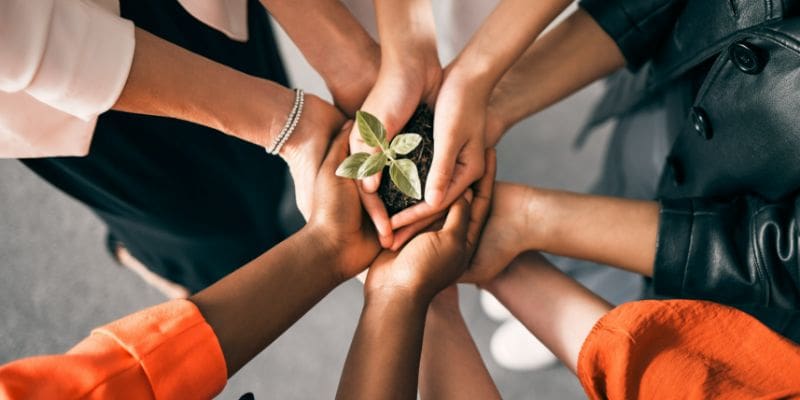 A group of people holding hands around a plant.