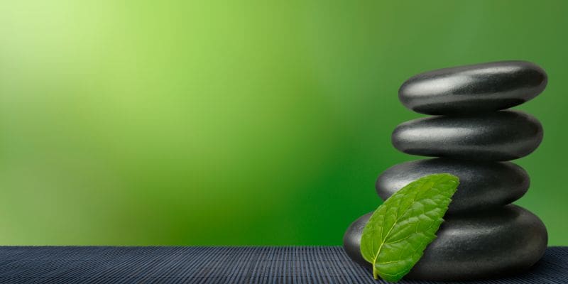 A stack of rocks with a green leaf on top
