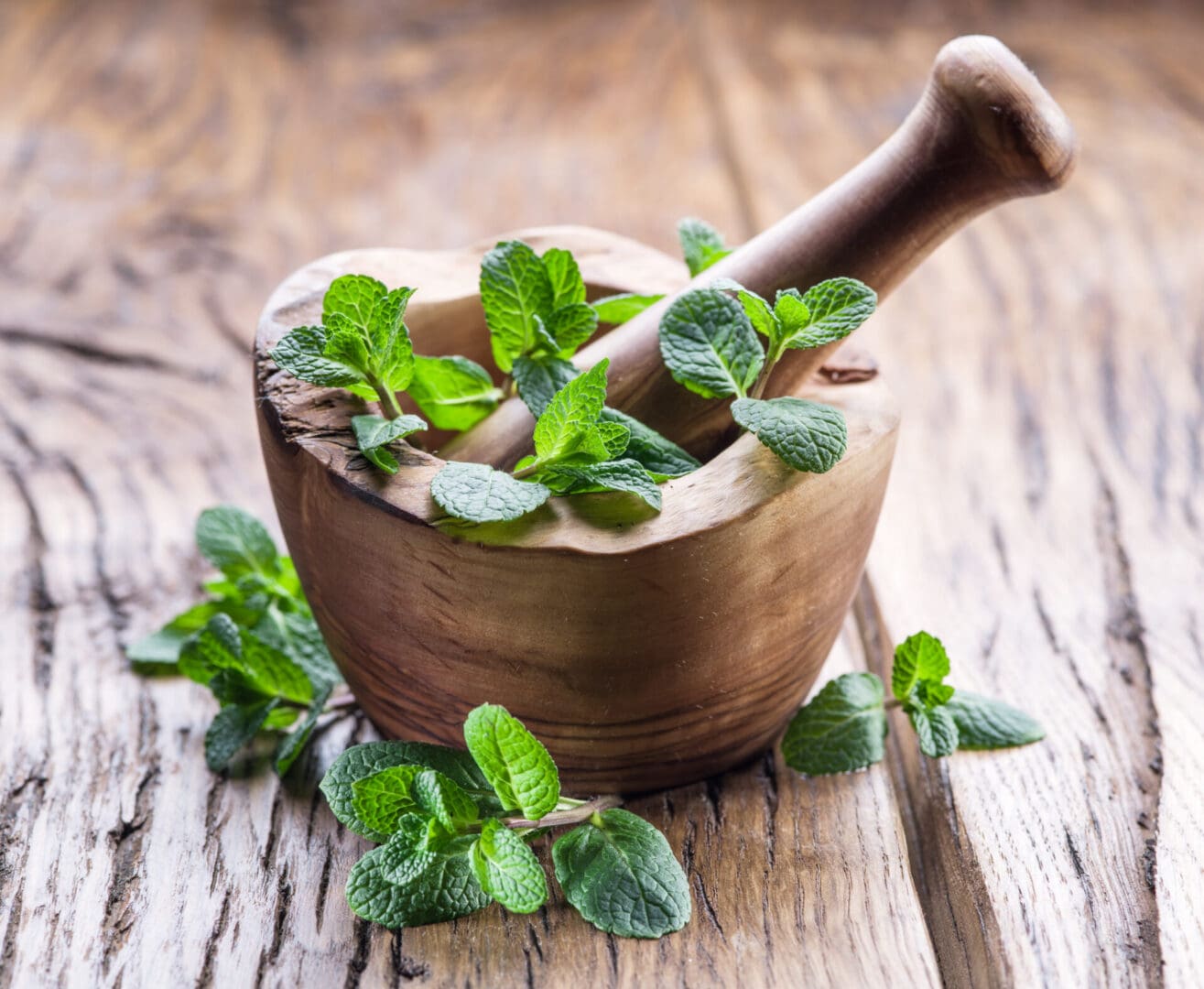 Wooden mortar and pestle with fresh mint