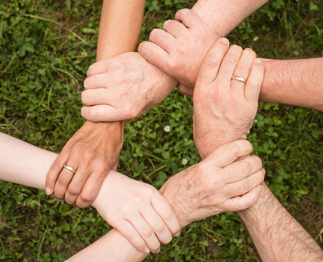 Hands linked in a solidarity circle