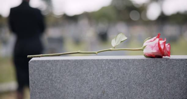 A delicate white butterfly resting on an open book outdoors.