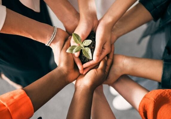 A group of people holding hands around a plant.